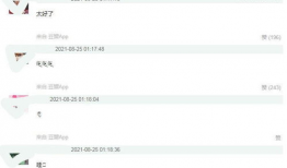 每日爆料汇总继续吃瓜,娱乐圈风云再起，吃瓜群众继续围观